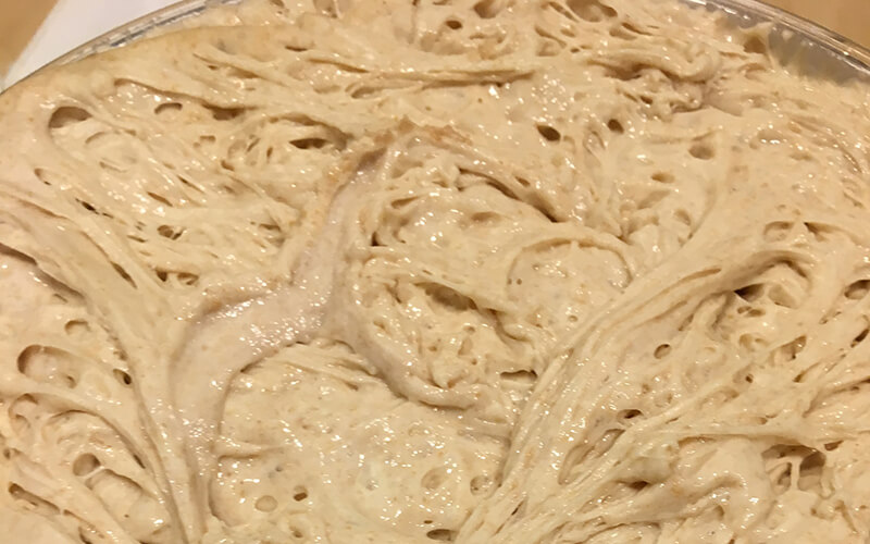 Pain deCampagne Dough