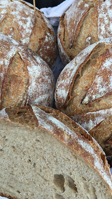 Pain DeCampagne bread